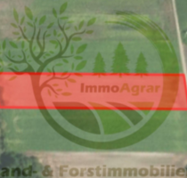 Grundstück in Wertingen 89.000,00 € 8101 m²