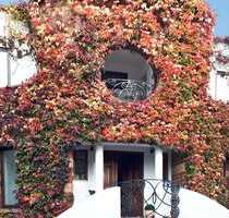 Haus zum Kaufen in Ratingen 1.350.000,00 € 238 m²