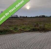 Haus zum Kaufen in Langlingen 347.500,00 € 166 m²