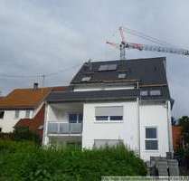 Wohnung zum Mieten in Bissingen-Ochsenwang 1.380,00 € 200 m²