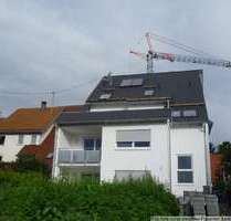 Wohnung zum Mieten in Bissingen-Ochsenwang 1.380,00 € 200 m²