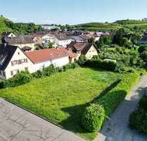 Grundstück zu verkaufen in Jechtingen 355.000,00 € 1184 m²