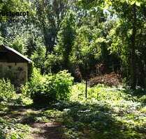 Grundstück zu verkaufen in Zechin 29.000,00 € 1119 m²