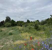 Grundstück zu verkaufen in Hohe Börde OT Niederndodeleben 249.000,00 € 5800 m²