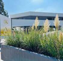 Wohnung zum Kaufen in Hofheim am Taunus 822.500,00 € 106.11 m²