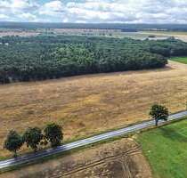 Grundstück zu verkaufen in Steinhöfel 69.000,00 € 59446 m²