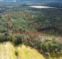 Grundstück zu verkaufen in Boxberg 18.500,00 € 23010 m²