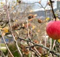 Grundstück in Leonberg 96.000,00 € 1128 m²