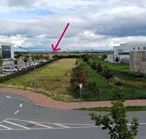 Grundstück zu verkaufen in Frankenthal (Pfalz) Eppstein 248.500,00 € 43245 m² - Frankenthal (Pfalz) / Eppstein