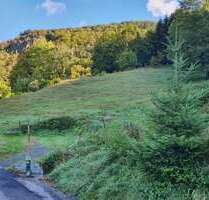 Grundstück zu verkaufen in Todtnau 250.000,00 € 3612 m²