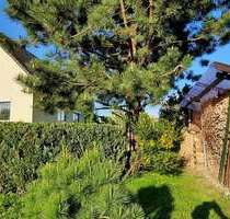 Haus zum Kaufen in Löbnitz 290.000,00 € 145 m²