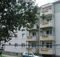 Wohnung zum Mieten in Wolgast 313,72 € 57.04 m²