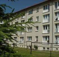 Wohnung zum Mieten in Wolgast 247,50 € 45 m²