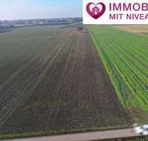 Grundstück in Lauingen 136.000,00 € 11349 m²