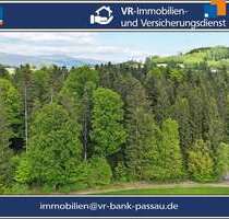 Grundstück in Breitenberg 130.000,00 € 26386 m²