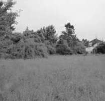 Grundstück zu verkaufen in PetershagenEggersdorf 278.000,00 € 785 m² - Petershagen/Eggersdorf