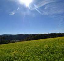 Grundstück in Thyrnau 192.700,00 € 19270 m²