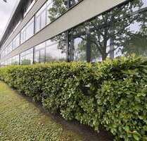 Büro in Hamburg Bahrenfeld Bahrenfeld 1.039,50 € 99 m² - Hamburg Bahrenfeld / Bahrenfeld