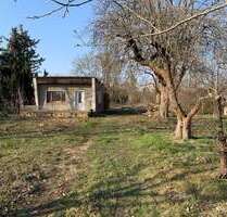 Grundstück zu verkaufen in Plessa 17.000,00 € 2500 m²