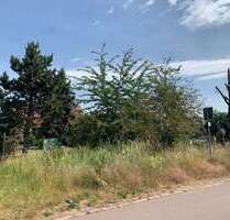 Grundstück in Tornau 12.000,00 € 99 m²