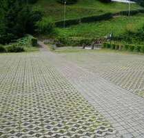 Grundstück zu verkaufen in Alpirsbach 195.000,00 € 2452 m²