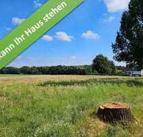 Haus zum Kaufen in Brelingen 400.750,00 € 166 m²
