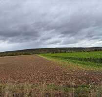 Grundstück zu verkaufen in Springe-Alvesrode 159.000,00 € 1030 m²