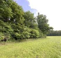 Grundstück in Pfaffing 165.000,00 € 16500 m²
