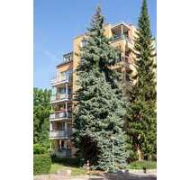 Wohnung zum Mieten in Chemnitz 380,73 € 55.99 m²