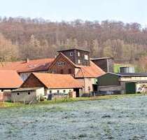 Haus zum Kaufen in Freden 495.000,00 € 298 m²