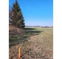 Grundstück zu verkaufen in Bersteland OT Freiwalde 119.900,00 € 1187 m²