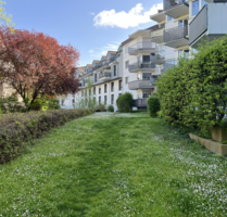 Wohnung zum Kaufen in Mainz 145.000,00 € 20 m²