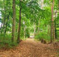 Grundstück zu verkaufen in Michendorf 350.000,00 € 870 m²