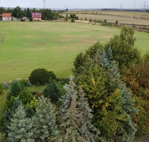 Grundstück zu verkaufen in Klostermansfeld 59.000,00 € 1300 m²
