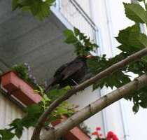 Wohnung zum Kaufen in Leipzig 199.500,00 € 61.3 m²