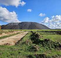 Haus zum Kaufen in Ilten 381.290,00 € 130 m²