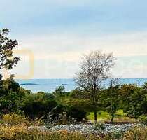 Grundstück zu verkaufen in Vodnjan 650.000,00 € 3600 m²