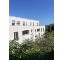 Wohnung zum Mieten in Pirmasens 1.485,00 € 135 m²