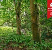 Grundstück zu verkaufen in Eitorf Halft 165.000,00 € 740 m² - Eitorf / Halft