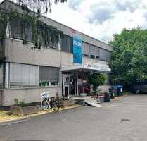 Einzelhandel in Wiesbaden 5.900,00 € 594 m²