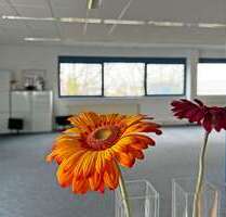 Büro in Kroppach 1.950,00 € 432 m²