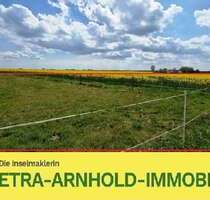 Grundstück zu verkaufen in Sauzin 900.000,00 € 6000 m²