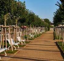 Grundstück zu verkaufen in Benz Bansin 189.000,00 € 904 m² - Benz / Bansin