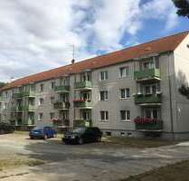 Wohnung zum Mieten in Schwedt 365,00 € 59.7 m²