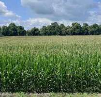 Wohnung zum Kaufen in Varel Dangast 370.000,00 € 70 m² - Varel / Dangast