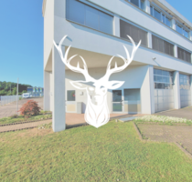 Wohnung zum Mieten in Waldshut-Tiengen 790,00 € 103 m²