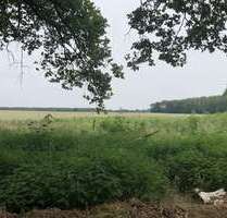 Grundstück zu verkaufen in Schulzendorf 170.000,00 € 19700 m²