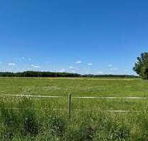 Grundstück in Türkheim 99.999,00 € 10000 m²