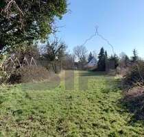 Grundstück zu verkaufen in Brehna 178.000,00 € 1975 m²