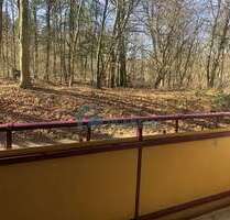 Wohnung zum Mieten in Schwerin 410,00 € 45.61 m²